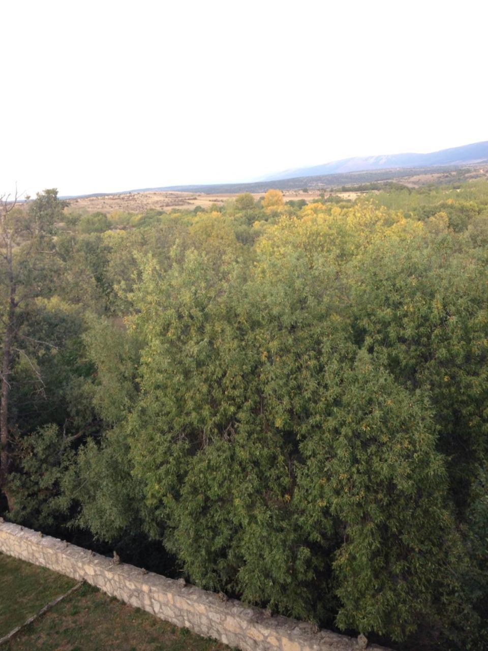 Apartamento Rural La Muralla De Pedraza Chavida Buitenkant foto